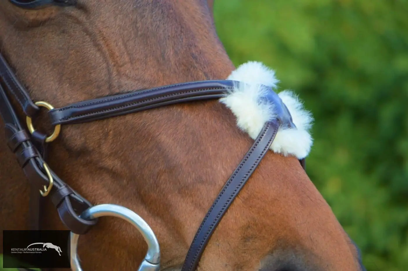 Kentaur Grackle Bridle With Chain Link Browband Bridles