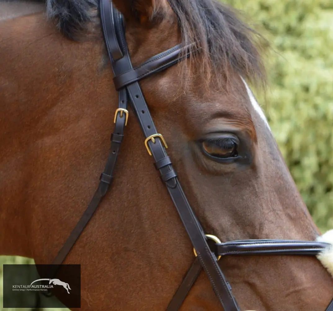 Kentaur Grackle Bridle With Plain Padded Browband And Nosepiece Bridles