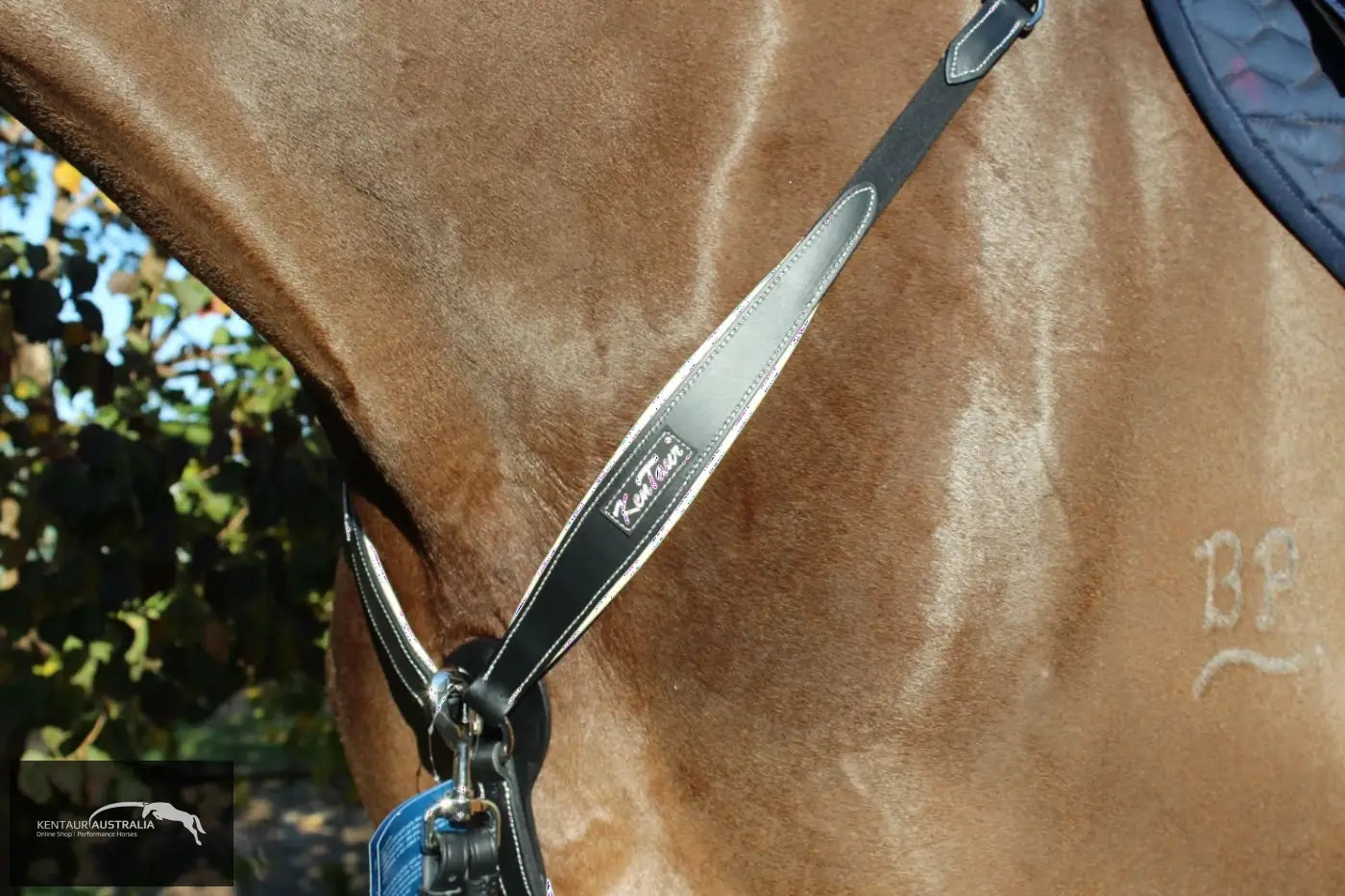 Kentaur ’Napoli’ Breastplate with Coloured Piping Black / Full / Beige Breastplates