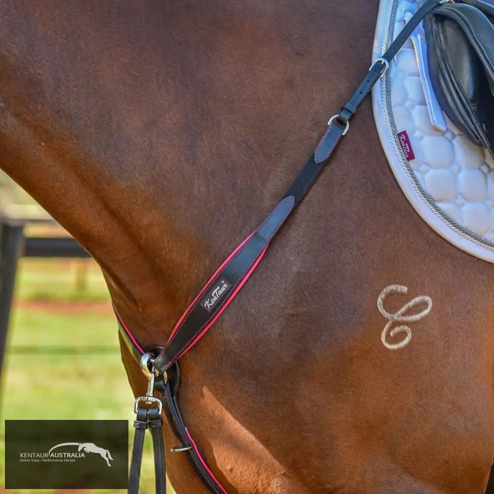 Kentaur ’Napoli’ Breastplate with Coloured Piping Black / Full / Pink Breastplates