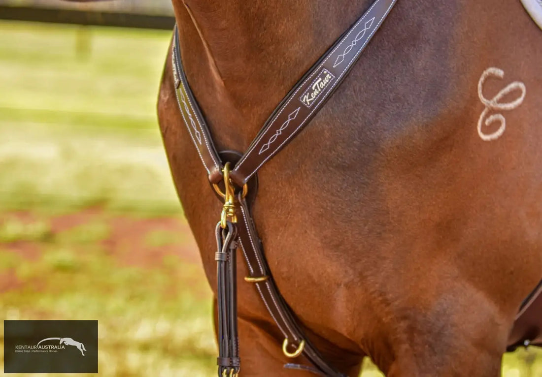Kentaur ’Napoli’ Breastplate with Coloured Piping Black / Cob / White Breastplates