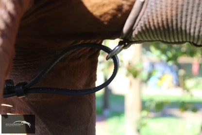 Kentaur ’Napoli’ Breastplate with Coloured Piping Breastplates