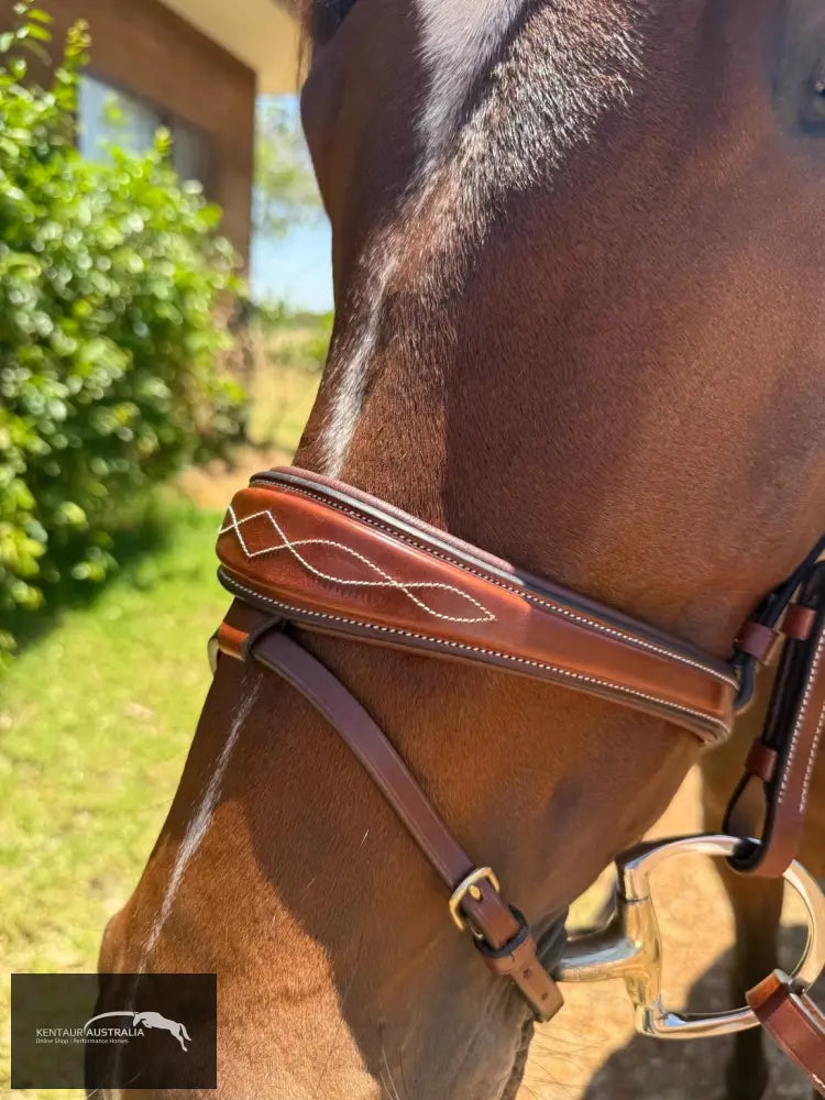 Kentaur ’Nashville’ Bridle - Bridles