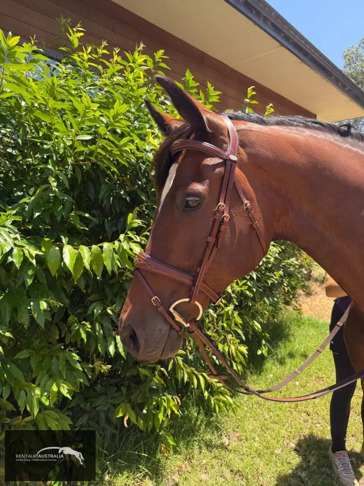 Kentaur ’Nashville’ Bridle - Bridles