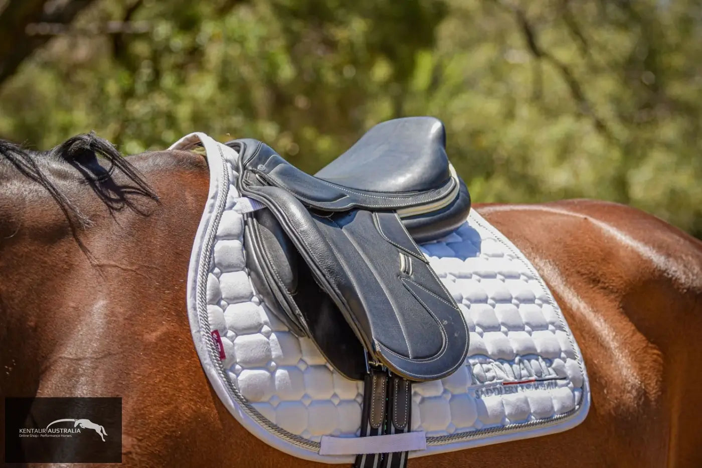 Kentaur ‘Naxos’ Jumping Saddle Jumping Saddles