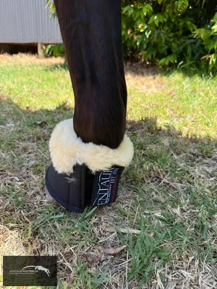 Kentaur Neoprene Bell Boots With Genuine Sheepskin - Bell Boots