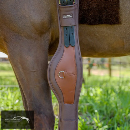 Kentaur Padova Extra Soft Dressage Girth - an anatomically shaped leather dressage girth with the softest padding, ideal for sensitive horses.