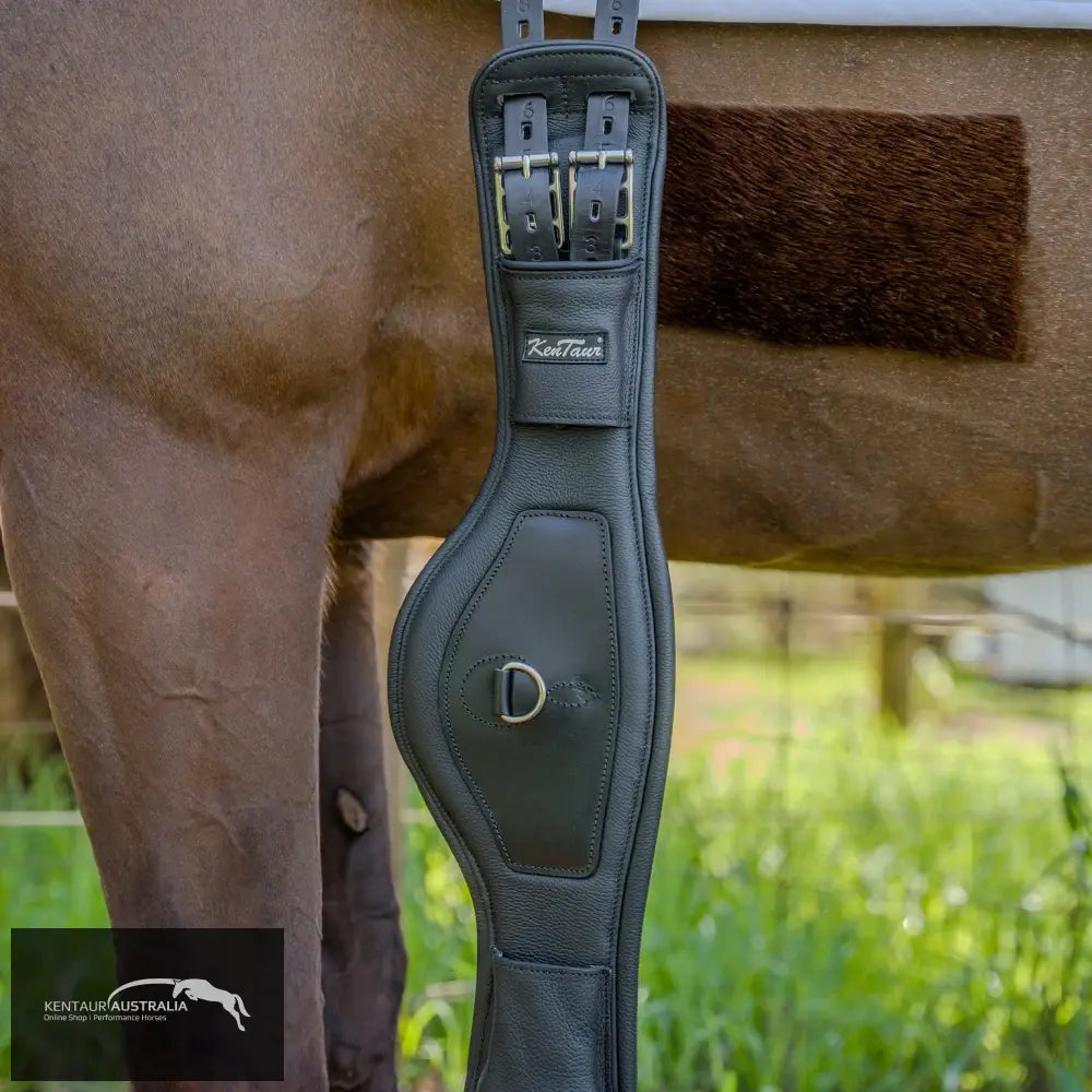 Kentaur Padova Extra Soft Dressage Girth - an anatomically shaped leather dressage girth with the softest padding, ideal for sensitive horses.