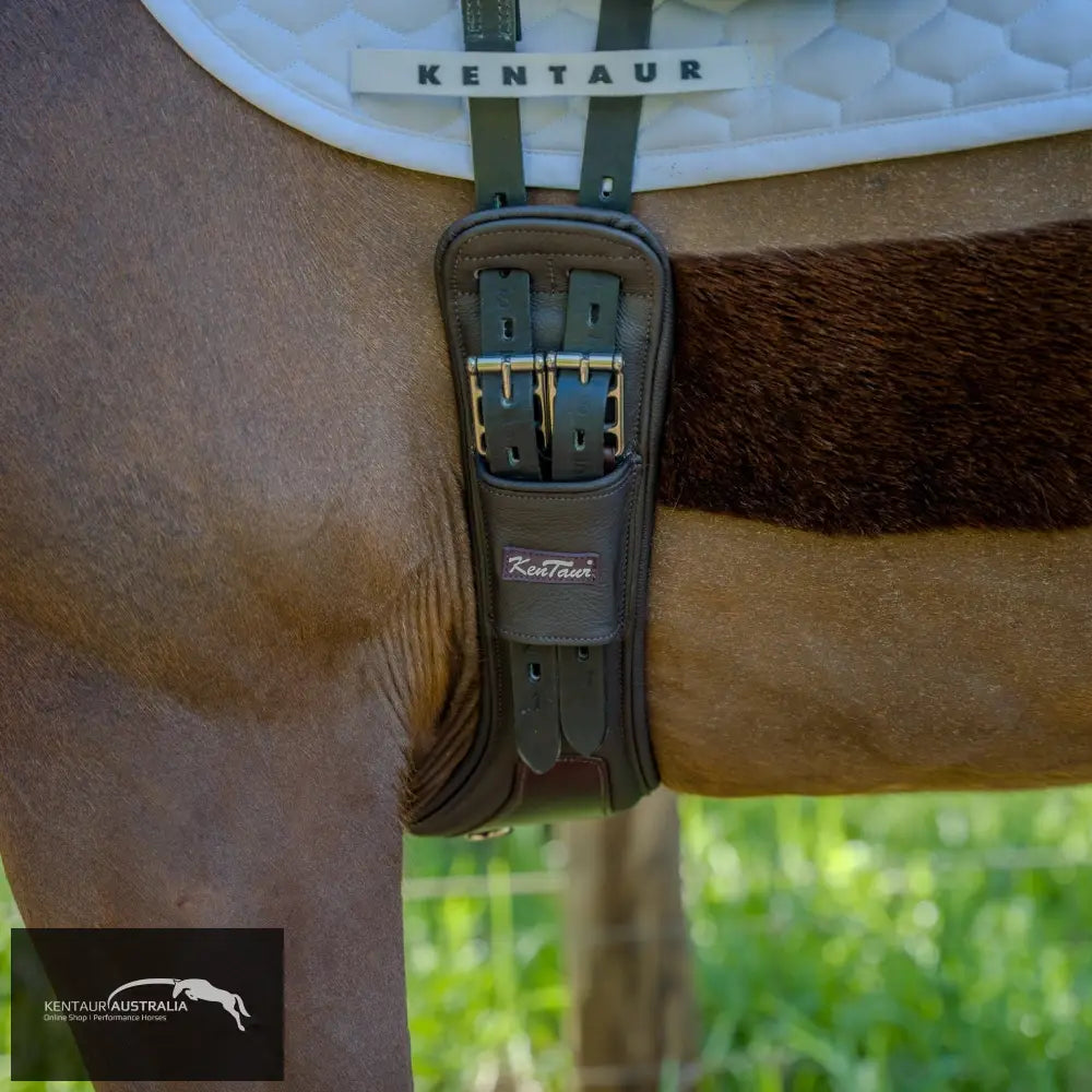 Kentaur Padova Extra Soft Dressage Girth - an anatomically shaped leather dressage girth with the softest padding, ideal for sensitive horses.