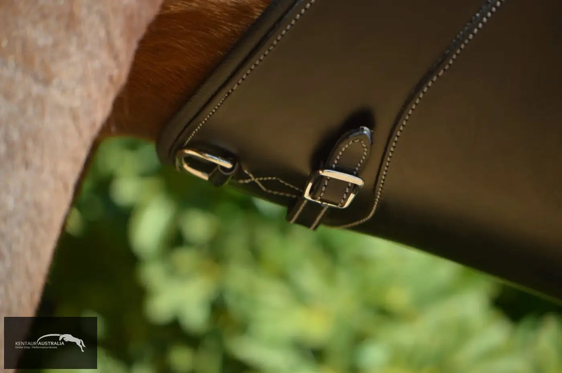 Kentaur Paris Stud Girth Jumping Girths