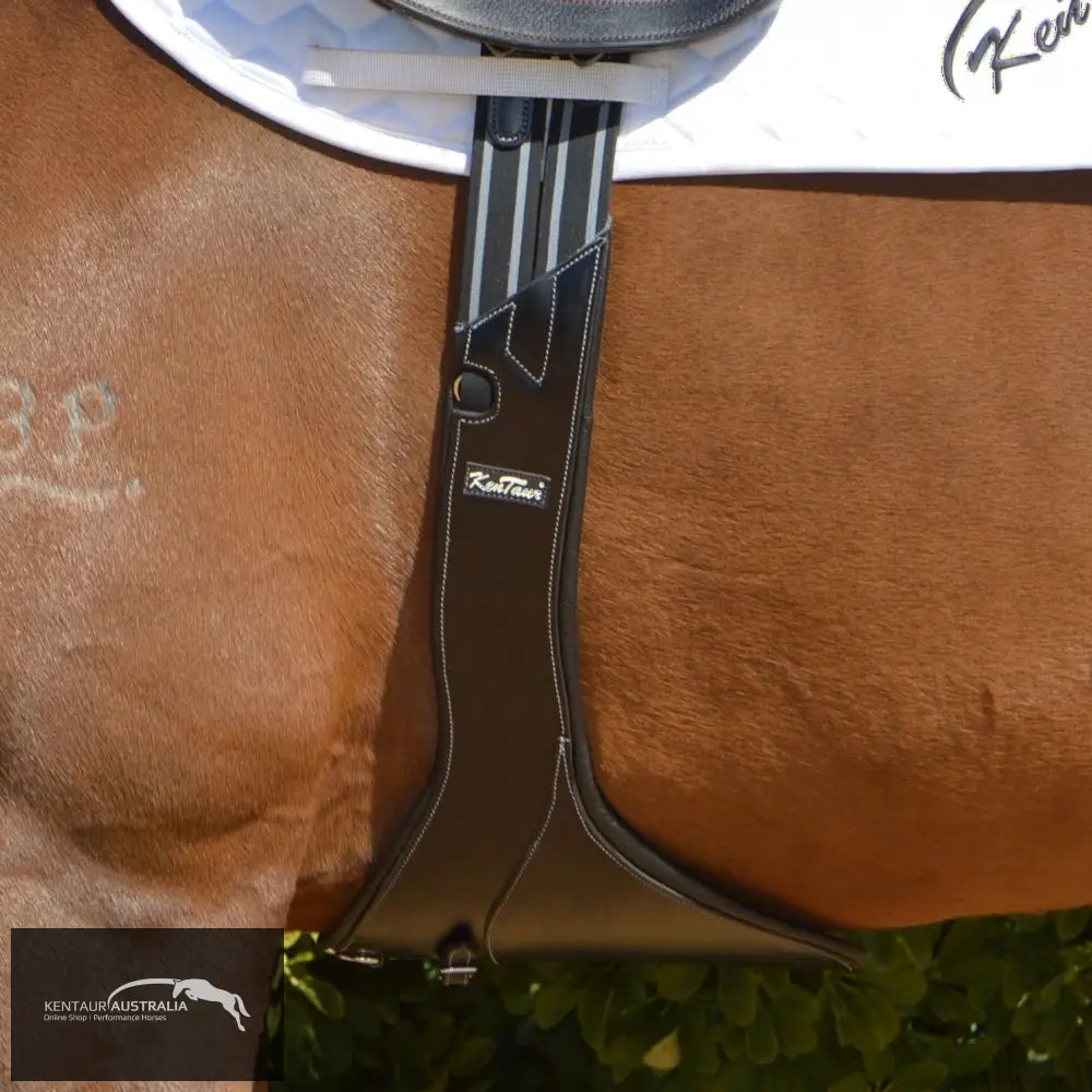 Kentaur Paris Stud Girth Jumping Girths