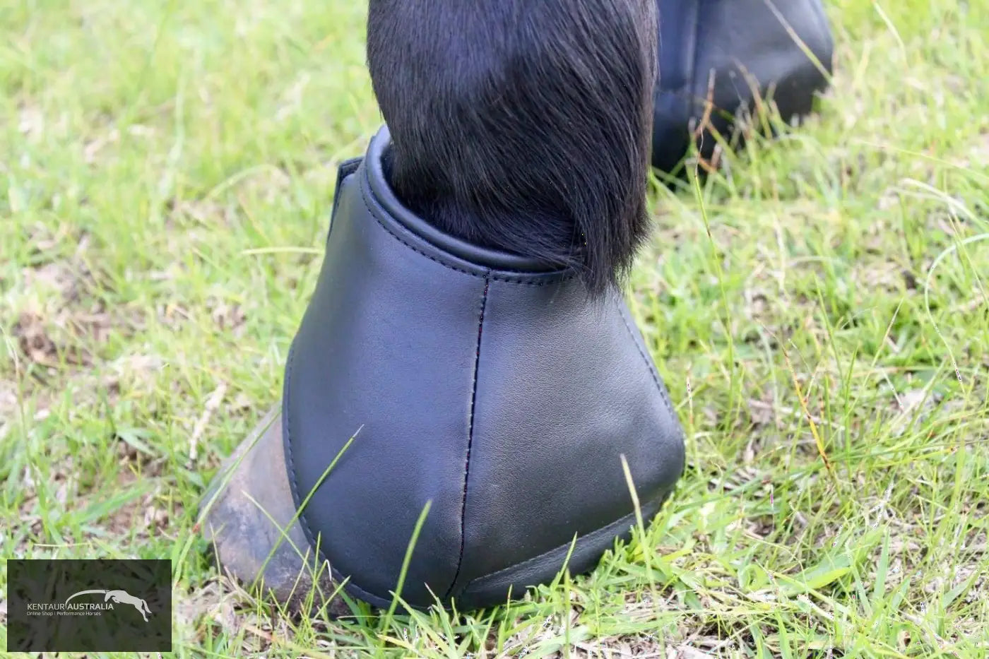 Kentaur Premium Anatomic Leather Bell Boots 3/26Cm / Black Bell Boots