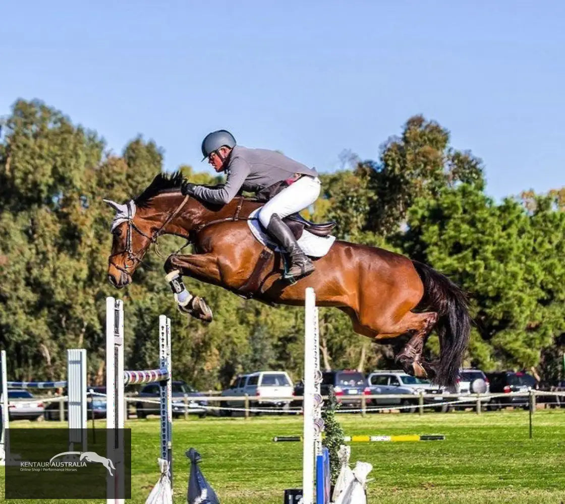 Kentaur Profi Front Jumping Boots With Sheepskin Jumping Boots