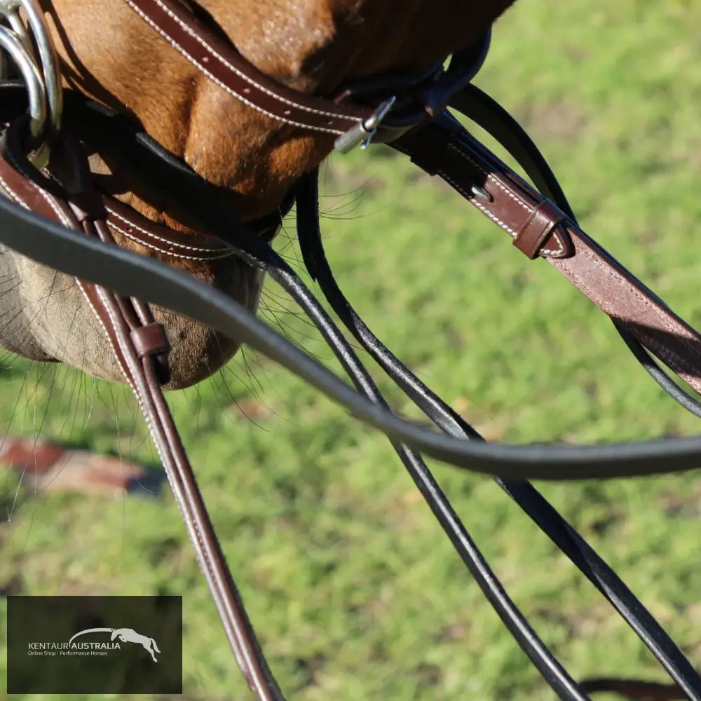 Kentaur Rolled Leather Draw Reins Brown Training Aids