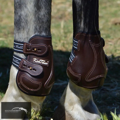 Kentaur Roma Flicker Hind Boots Brown / Full Training Jumping Boots