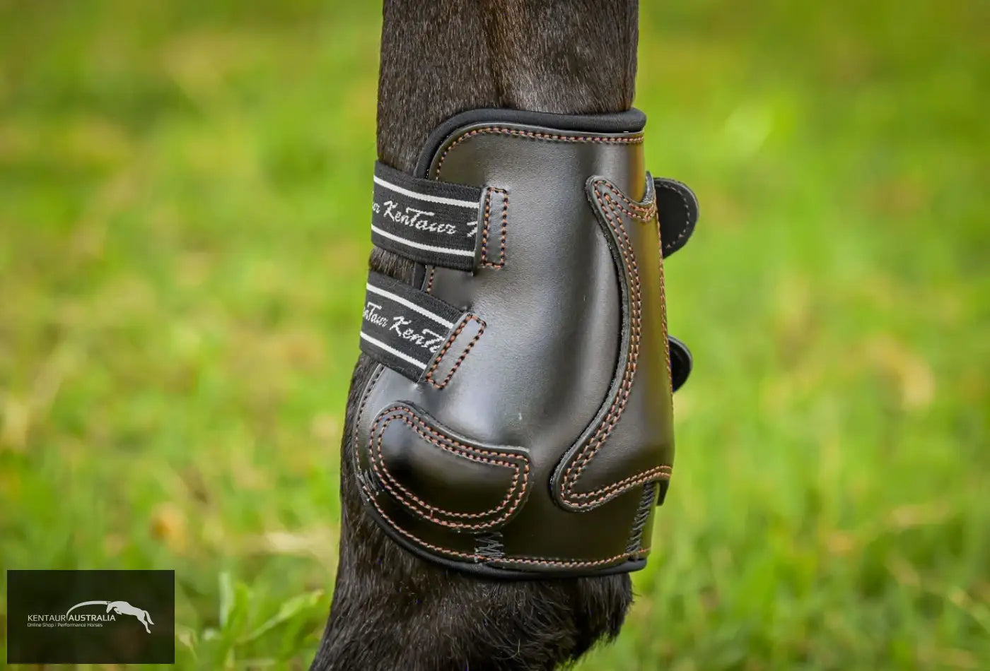 Kentaur ’Roma Flicker’ Hind Boots Training Jumping Boots