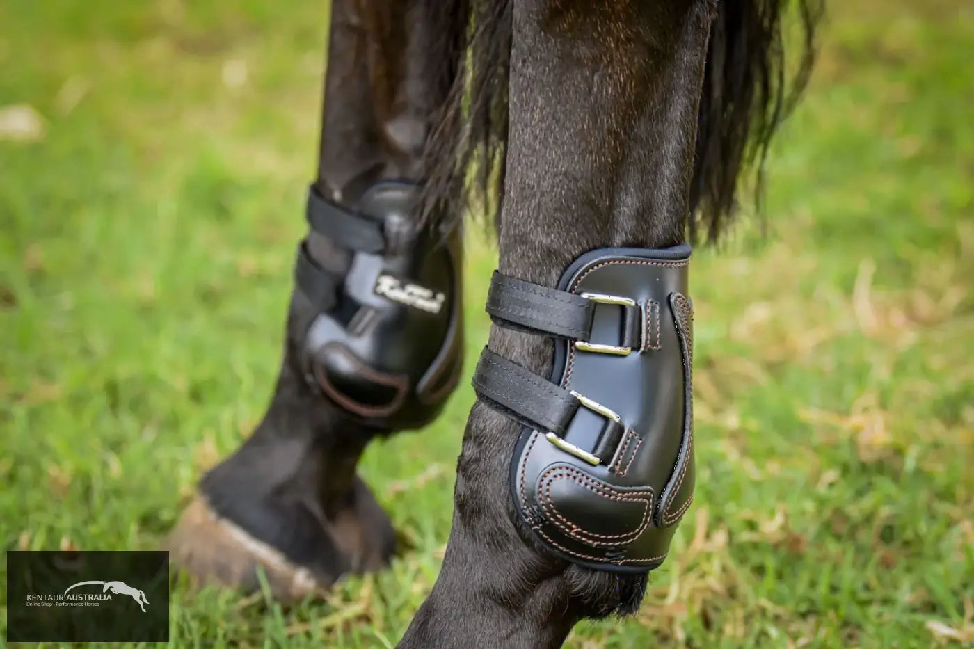 Kentaur ‘Roma Pinch’ Rear Boots Training Jumping Boots