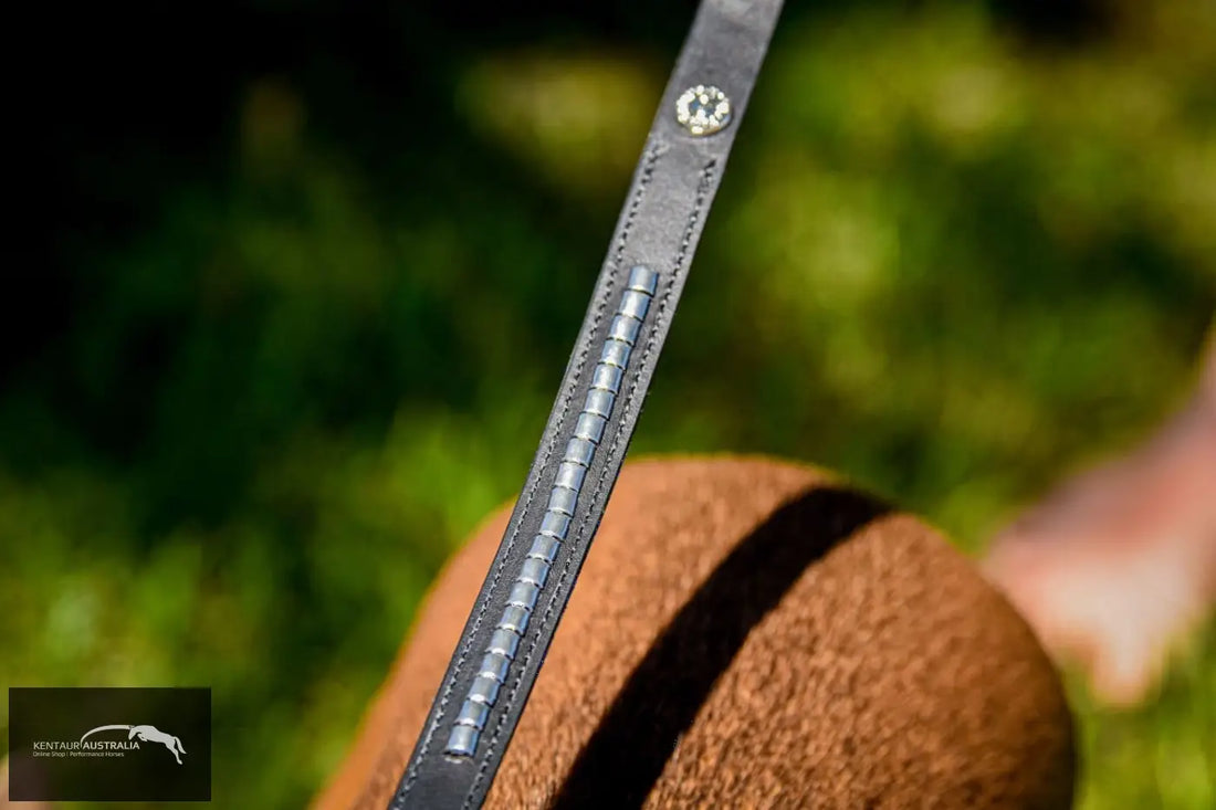 Kentaur ’Semi-Roll’ Dog lead Dog Lead
