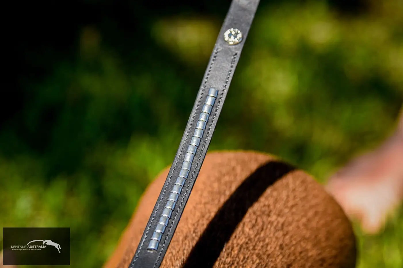 Kentaur ’Semi-Roll’ Dog lead Dog Lead