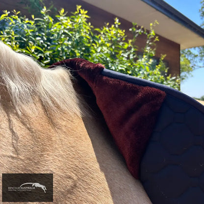 Kentaur Sheepskin Lined Saddle Pad - Saddle Pad