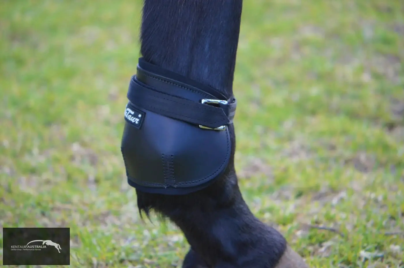 Kentaur Short Leather Hind Pinch Boots Training Jumping