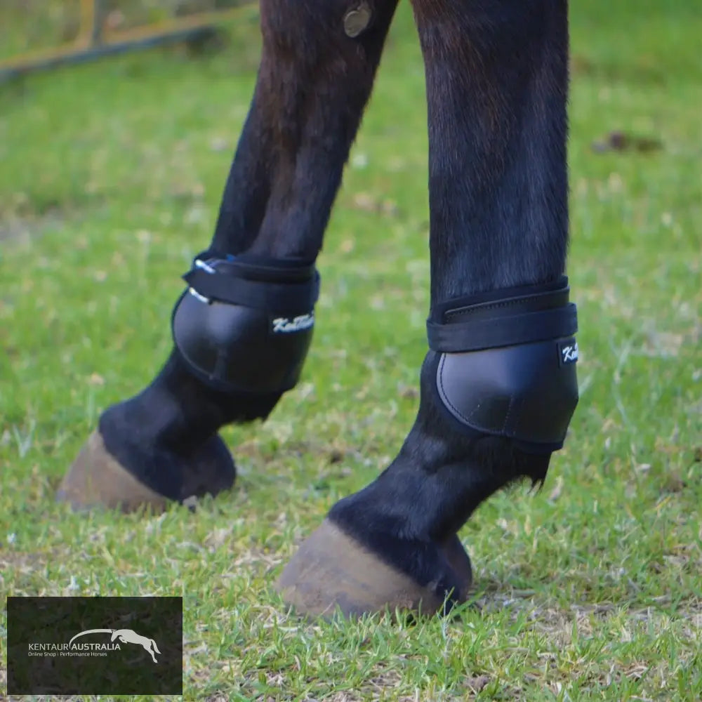 Kentaur Short Leather Hind Pinch Boots Training Jumping