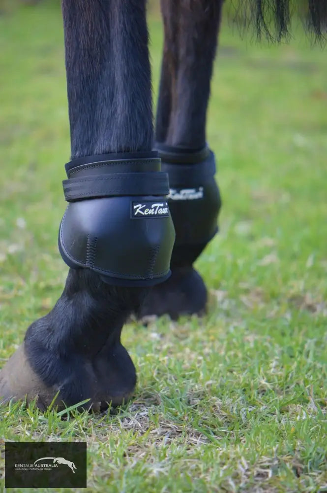 Kentaur Short Leather Hind Pinch Boots Training Jumping