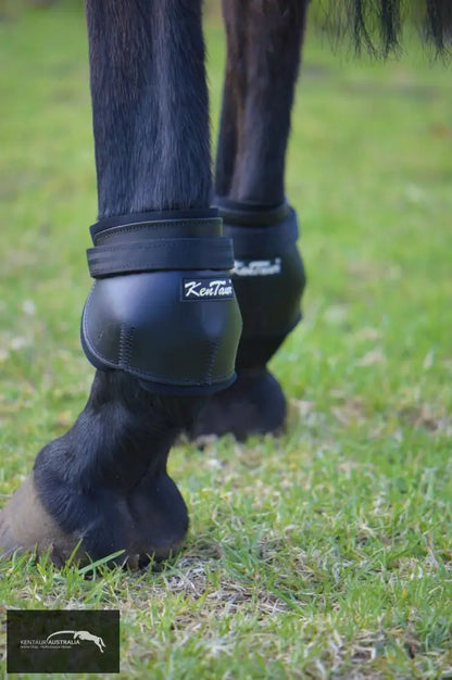 Kentaur Short Leather Hind Pinch Boots Training Jumping