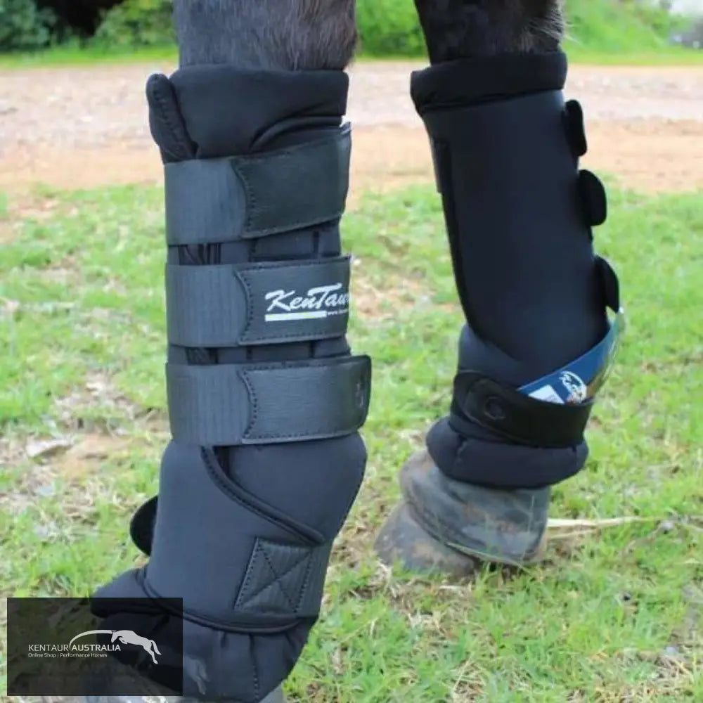 Kentaur Stable Boots Stable Boots