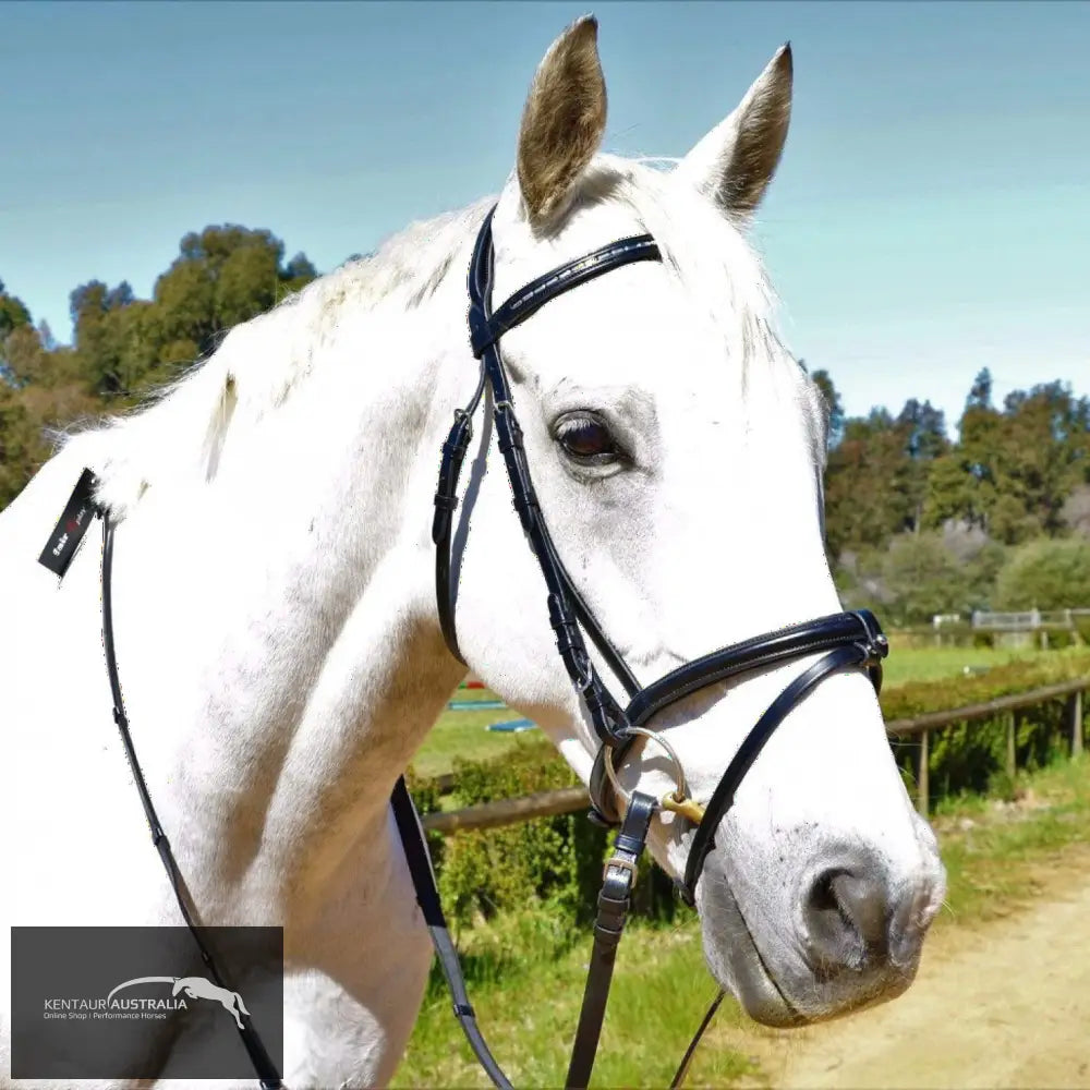 Kentaur Hanoverian Bridle With Decorative Browband And Removable Flash Bridles