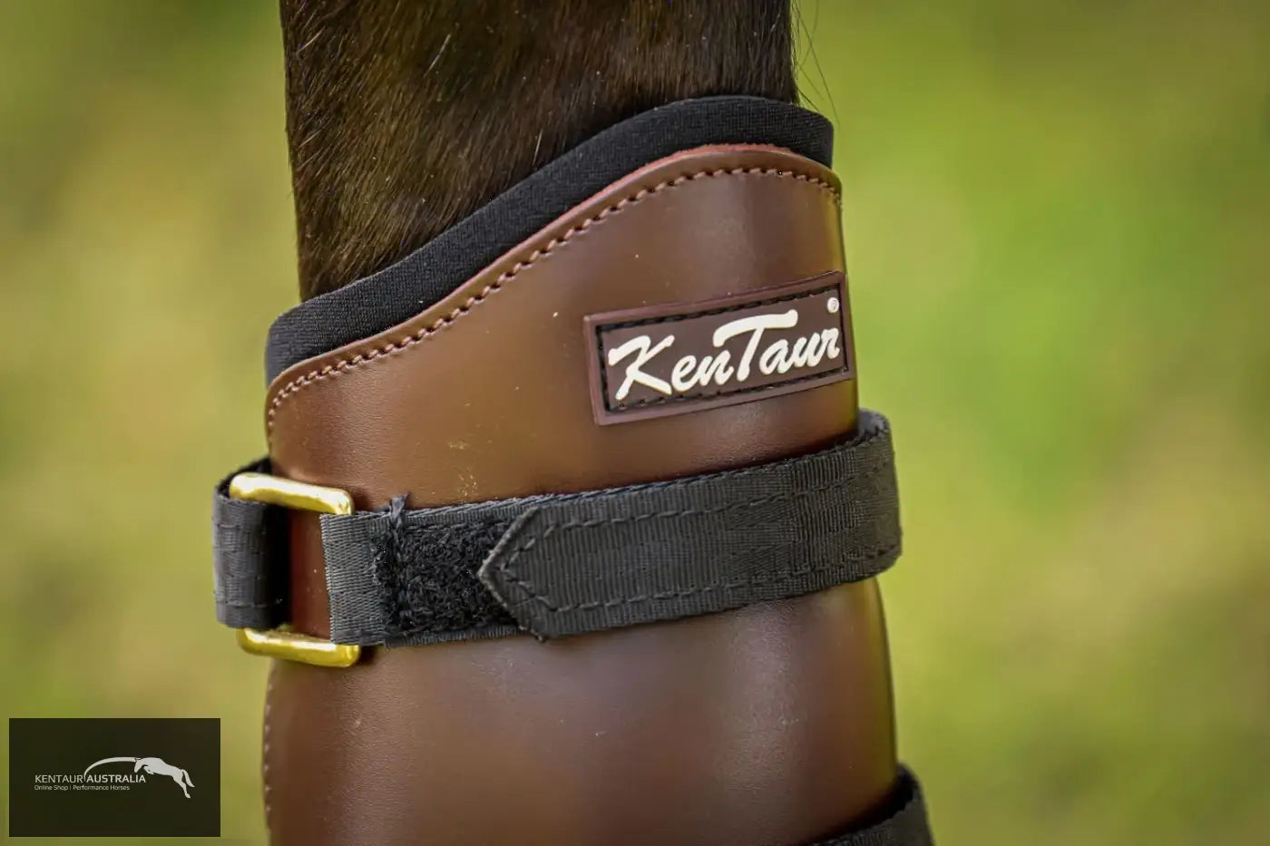 Kentaur Tall Leather Hind Pinch Boots Dark Brown / Full Training Jumping Boots