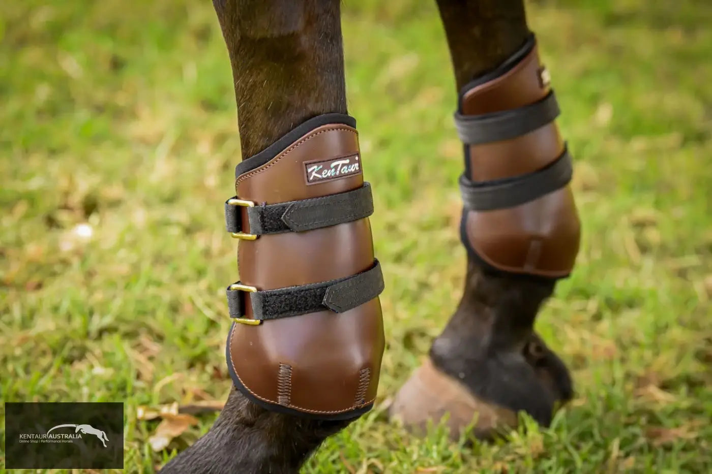 Kentaur Tall Leather Hind Pinch Boots Training Jumping Boots