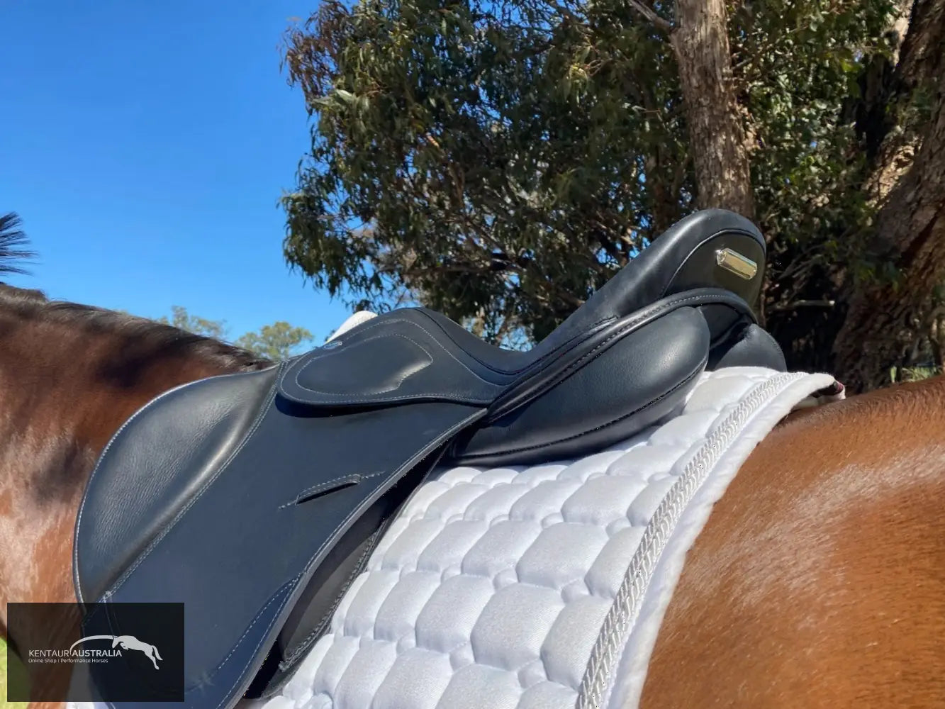 Kentaur ’Titan Junior’ Kids Jumping Saddle Jumping Saddles