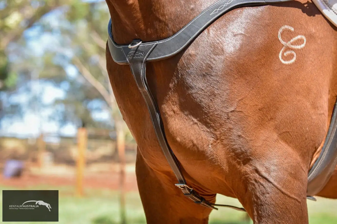 Kentaur ’Torino’ Breastplate Breastplates