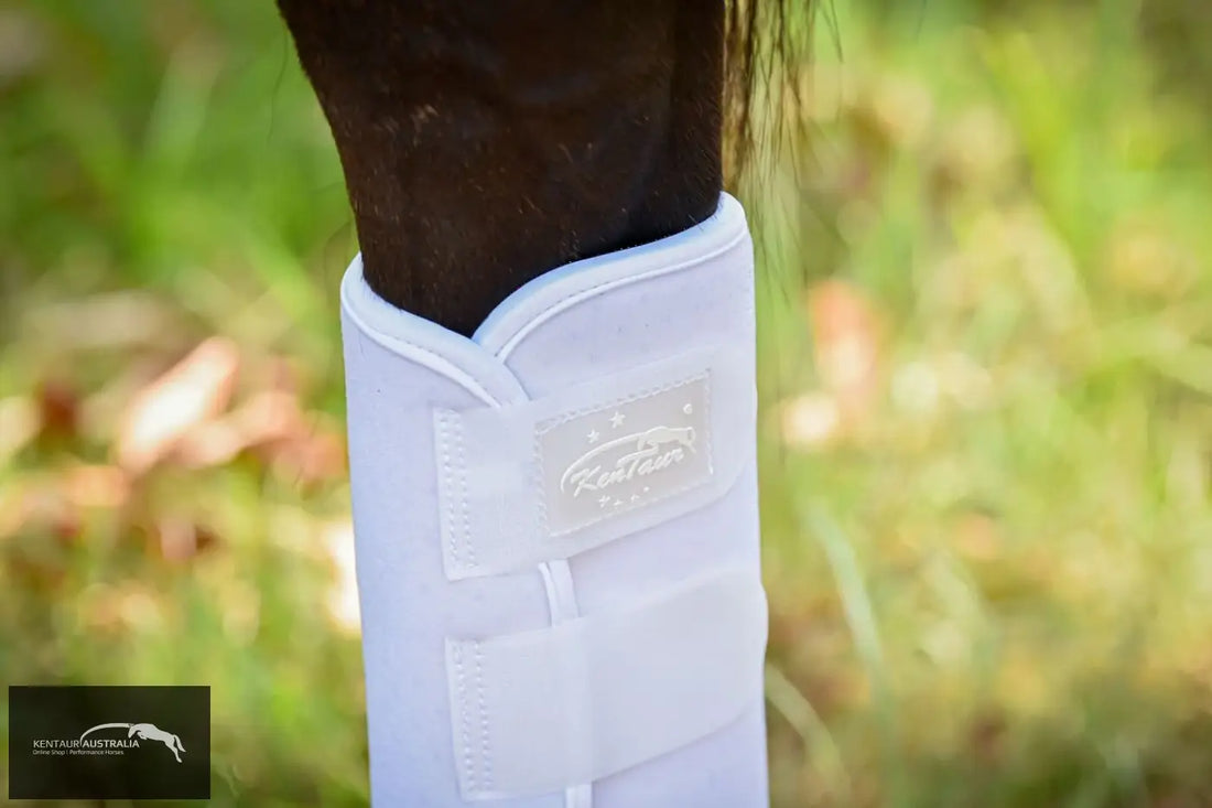 Kentaur ‘Velcro’ Hind Dressage Boots dressage boots