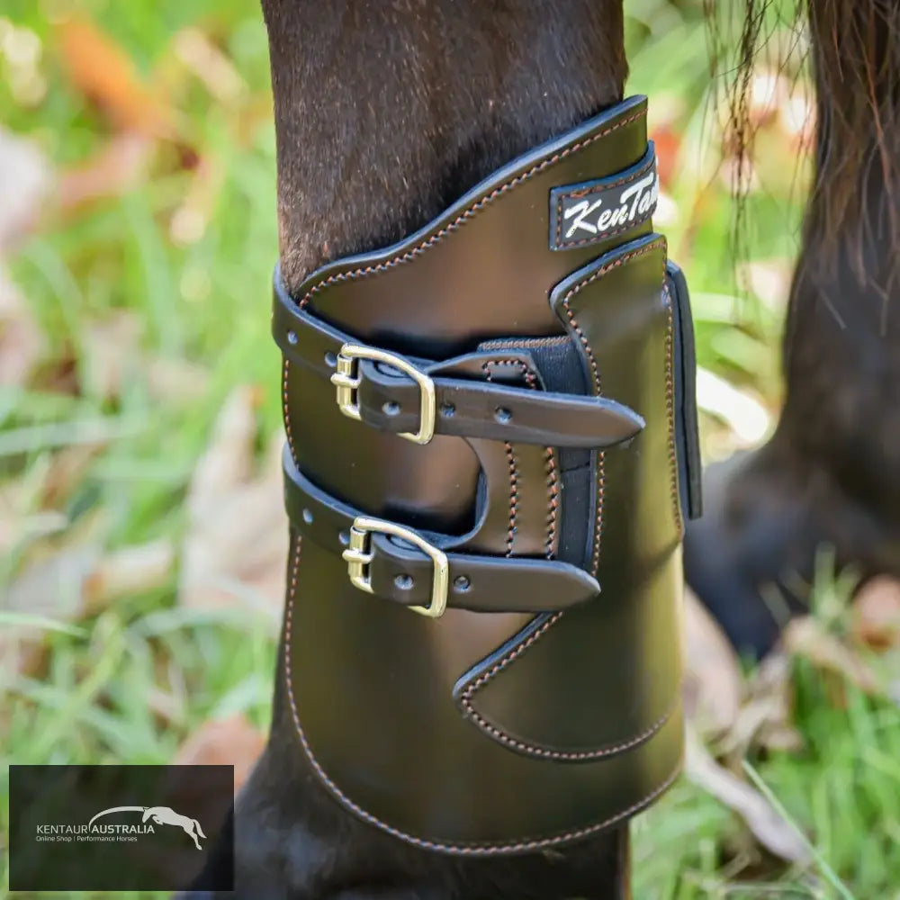Kentaur Weighted Hind Boots Black / Full Training Jumping Boots