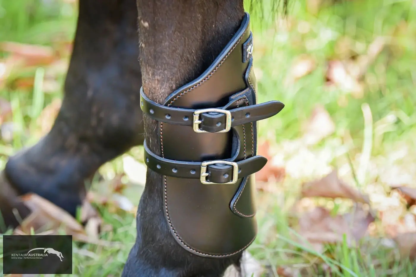 Kentaur Weighted Hind Boots Training Jumping Boots