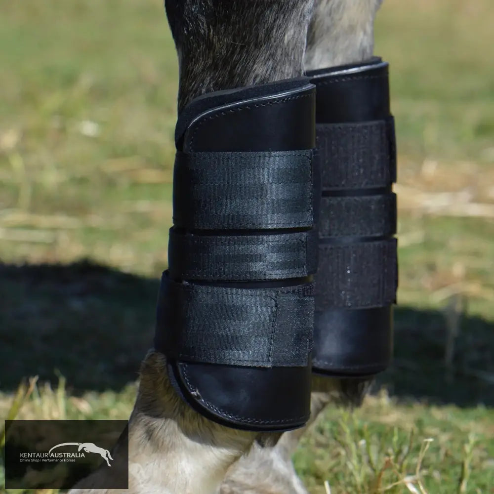 Kentaur Weighted Training Front Boots Black Jumping