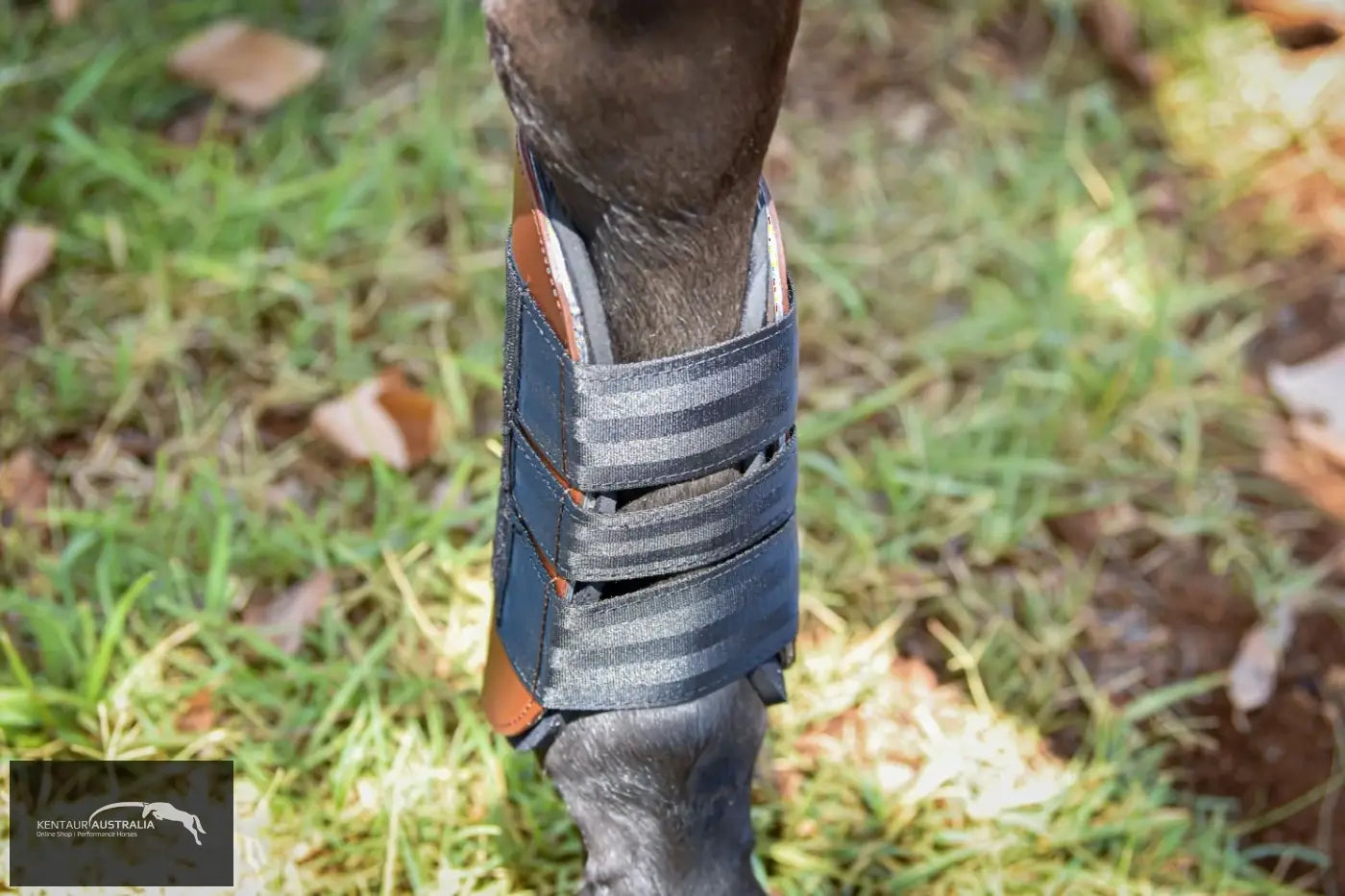 Kentaur Weighted Training Front Boots Training Jumping Boots