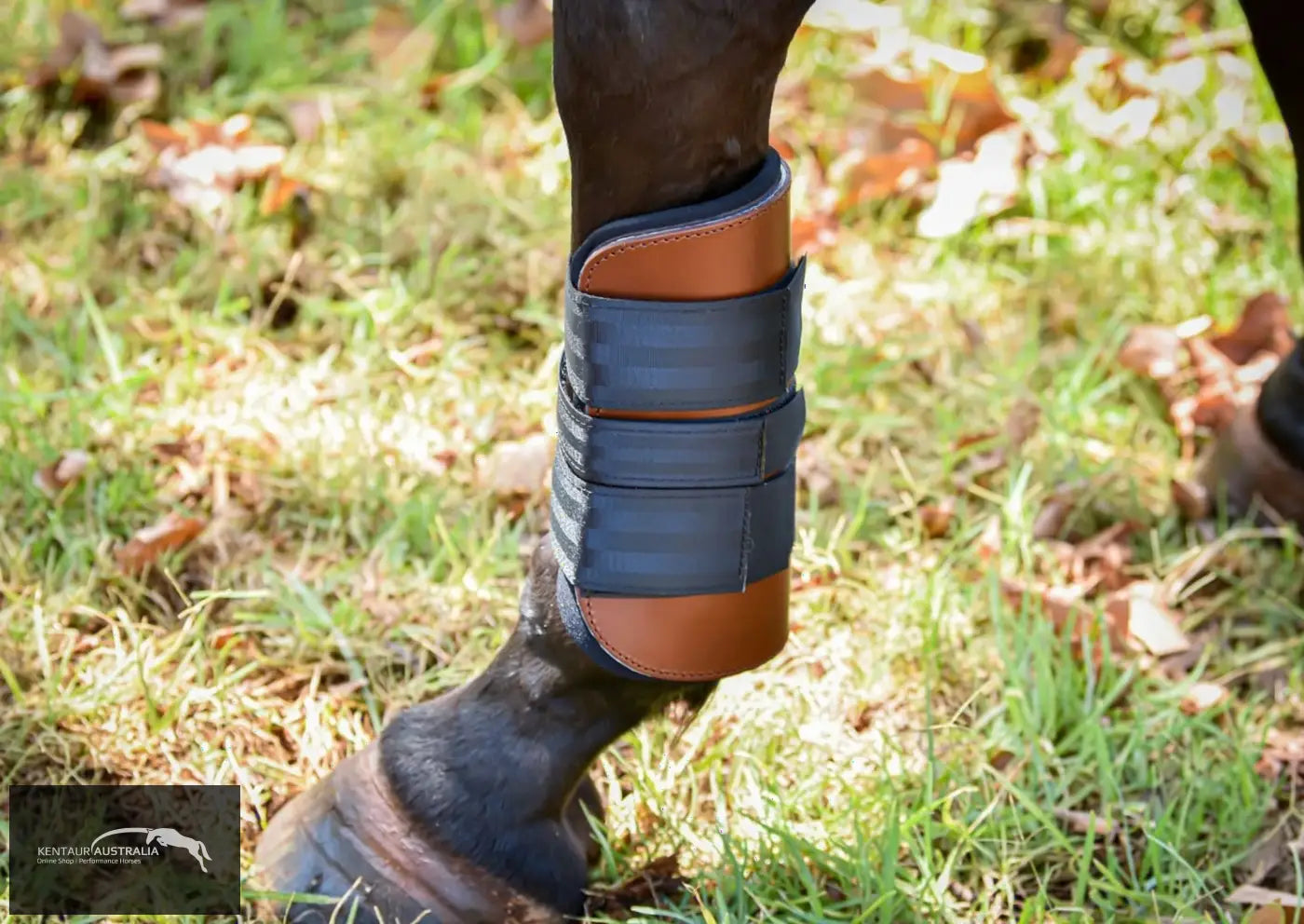 Kentaur Weighted Training Front Boots Tobacco Training Jumping Boots