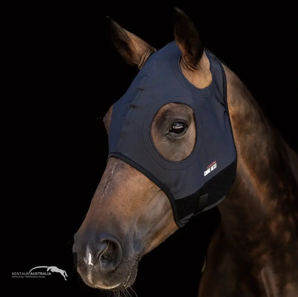 Lami - Cell Titanium Hood No Ears - Medium - Ears