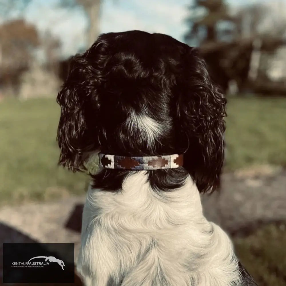 Pampeano ’Roca’ Dog Collar L Dog Collars