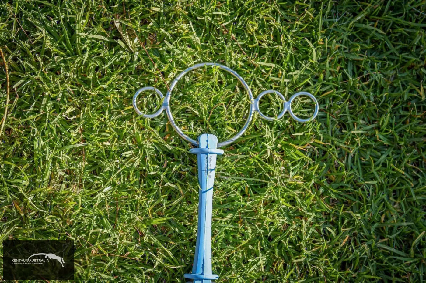 Poponcini Double Ring Gag Bit Bits