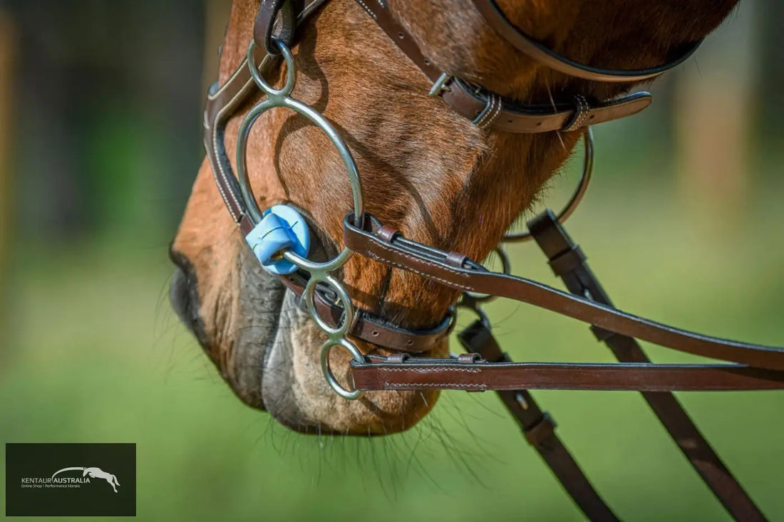 Poponcini Double Ring Gag Bit Bits