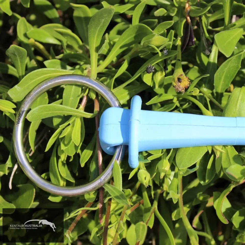 Poponcini Snaffle Bit Bits