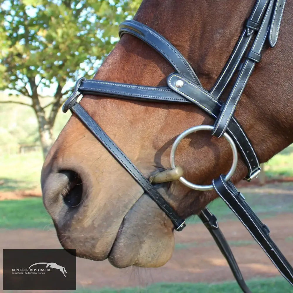 Silver Crown ’Brazilian’ Noseband Bridles
