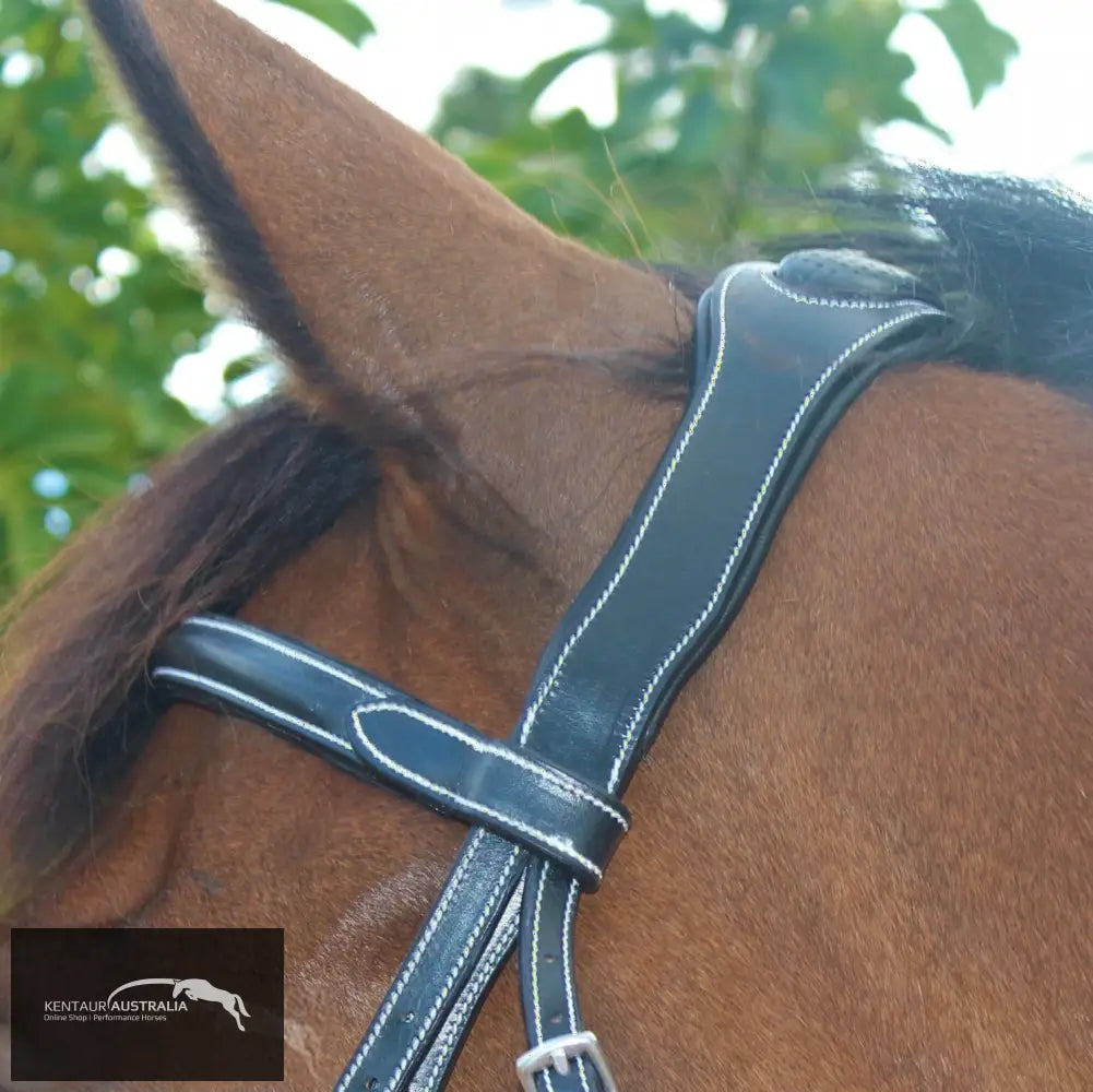 Silver Crown Doha Headpiece Bridles