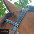 Silver Crown Doha Headpiece Bridles