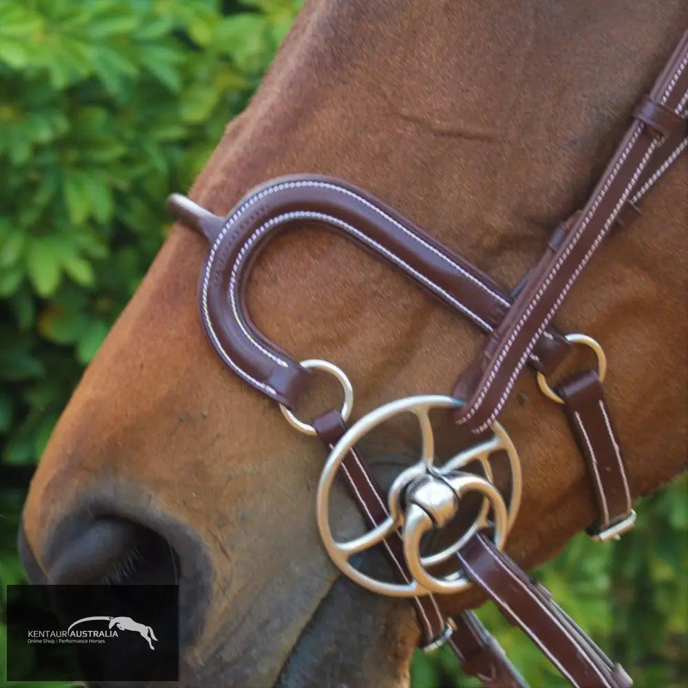 Silver Crown H Round Leather Noseband Bridles