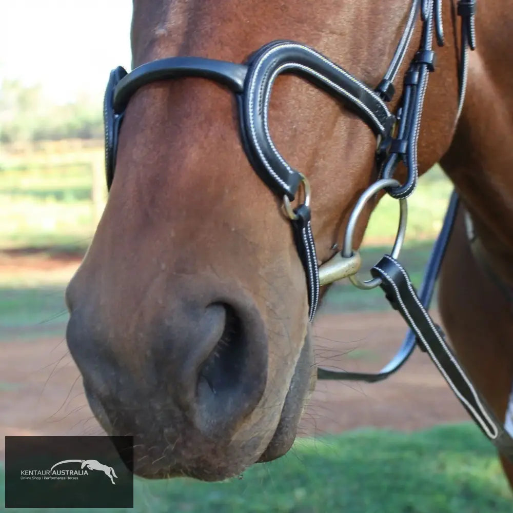 Silver Crown ’H Round’ Leather Noseband Black Bridles